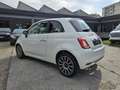 Fiat 500 1.0 Hybrid Dolcevita Bianco - thumbnail 6
