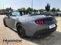 Ford Mustang Convertible GT 5.0 Ti-VCT V8 LED NITE PONY MAGNERI Gris - thumbnail 6