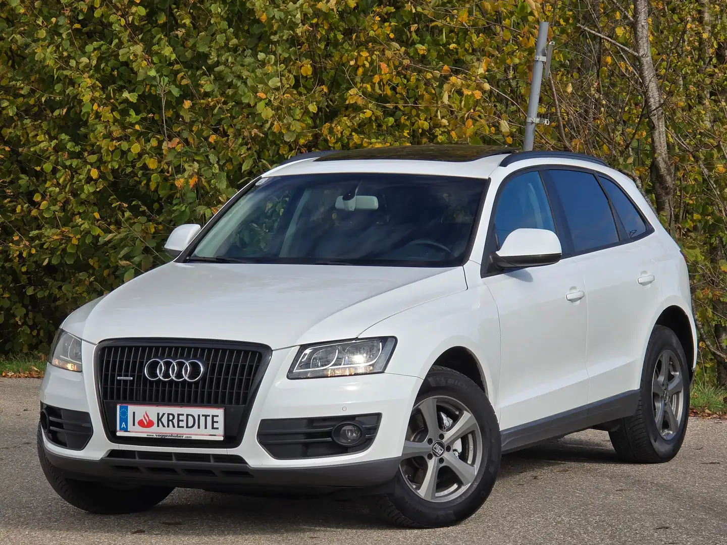 Audi Q5 2.0 TDI(105kW)Quattro*Top*Kredit*Panoramadach*Navi Weiß - 1