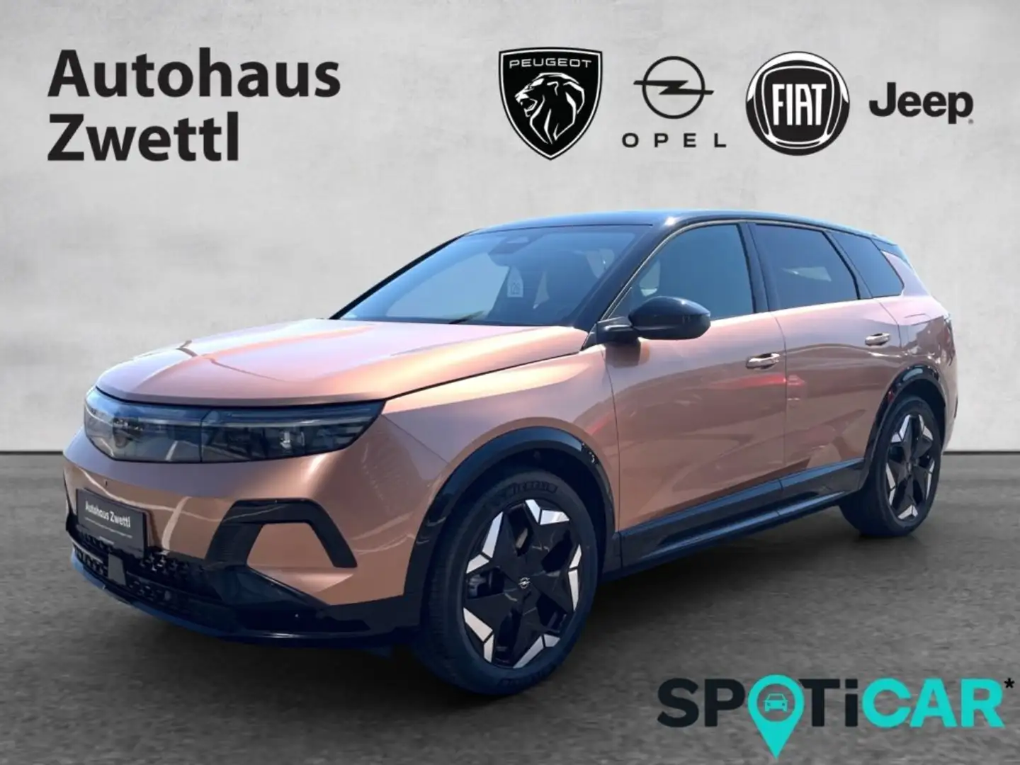 Opel Grandland -e GS Elektro 325 AWD 73 kWh Braun - 1