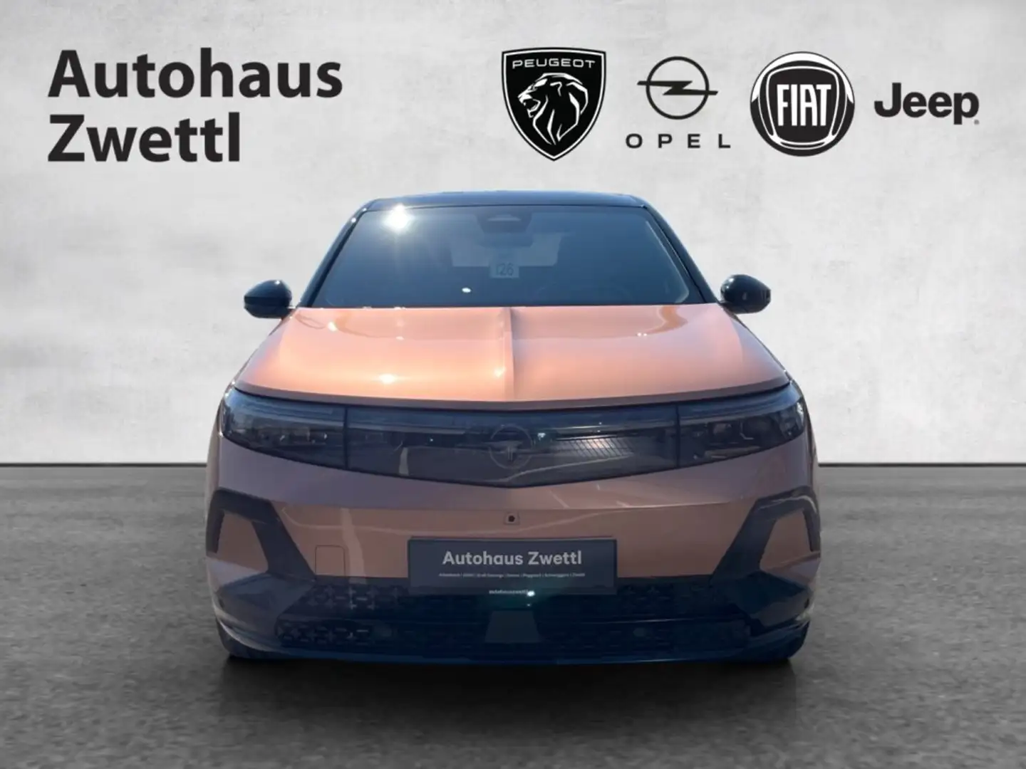 Opel Grandland -e GS Elektro 325 AWD 73 kWh Braun - 2