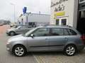 Skoda Fabia 1.2 TDI Greenline Businessline Grijs - thumbnail 1