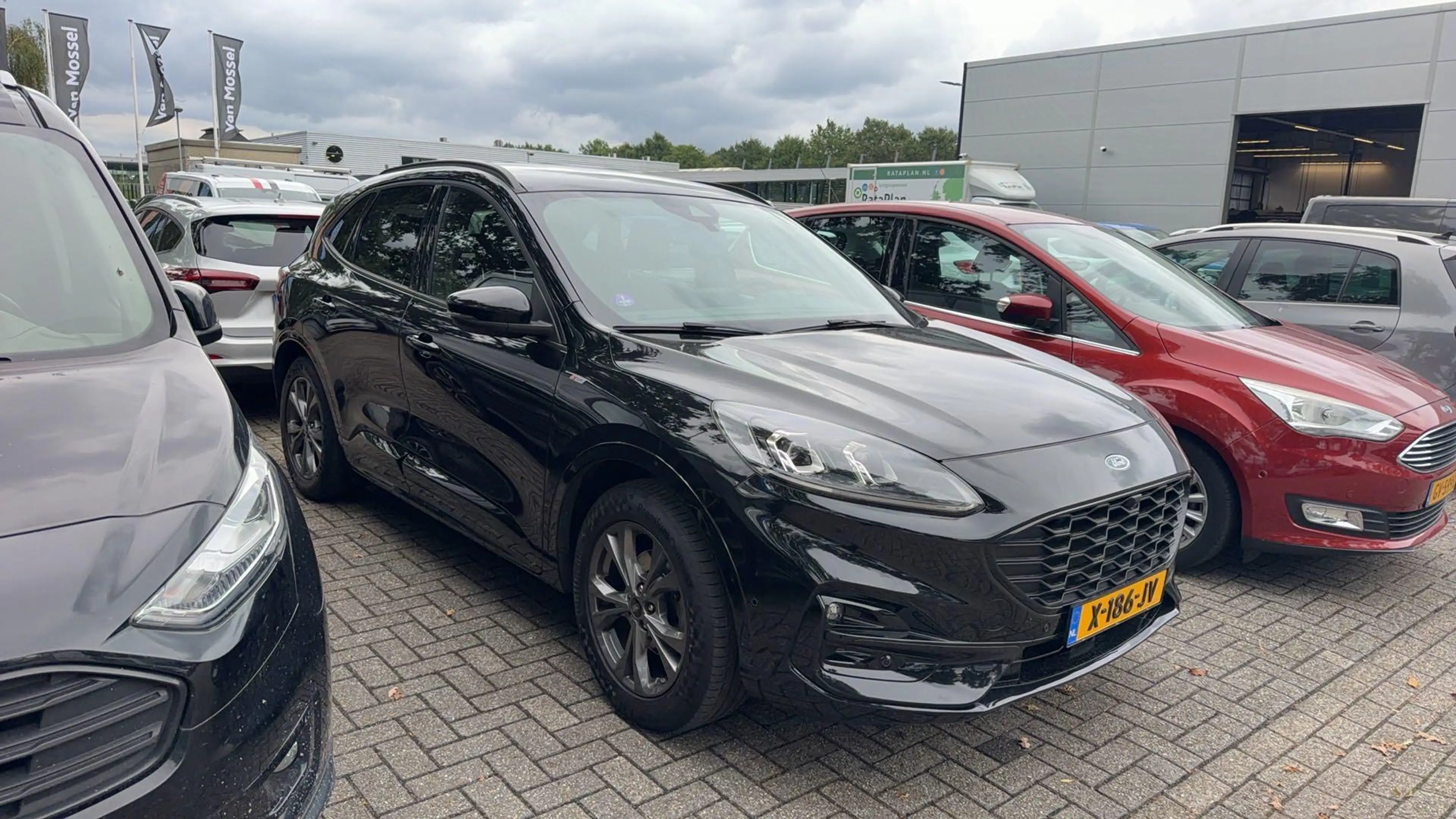 Ford Kuga 1.5 EcoBoost ST-Line X — photo 5