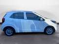 Kia Picanto 1.0 dpi Style Bianco - thumbnail 8