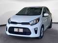Kia Picanto 1.0 dpi Style Bianco - thumbnail 1