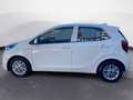 Kia Picanto 1.0 dpi Style Bianco - thumbnail 7