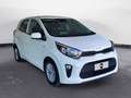 Kia Picanto 1.0 dpi Style Bianco - thumbnail 3