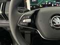 Skoda Kodiaq 1.5 TSI 204pk PHEV Business Edition Camera Head-Up Zwart - thumbnail 20