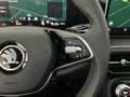 Skoda Kodiaq 1.5 TSI 204pk PHEV Business Edition Camera Head-Up Zwart - thumbnail 22