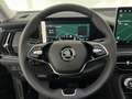 Skoda Kodiaq 1.5 TSI 204pk PHEV Business Edition Camera Head-Up Zwart - thumbnail 21