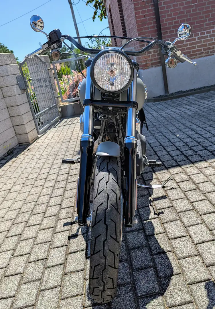 Harley-Davidson Dyna Street Bob Gri - 2