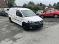 Volkswagen Caddy Caddy Maxi Kastenwagen Entry 2,0 TDI Weiß - thumbnail 3
