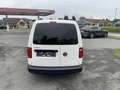 Volkswagen Caddy Caddy Maxi Kastenwagen Entry 2,0 TDI Weiß - thumbnail 6