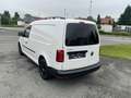 Volkswagen Caddy Caddy Maxi Kastenwagen Entry 2,0 TDI Weiß - thumbnail 7
