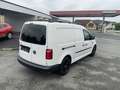 Volkswagen Caddy Caddy Maxi Kastenwagen Entry 2,0 TDI Weiß - thumbnail 5
