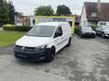 Volkswagen Caddy Caddy Maxi Kastenwagen Entry 2,0 TDI Weiß - thumbnail 1