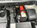 Volkswagen Caddy Caddy Maxi Kastenwagen Entry 2,0 TDI Weiß - thumbnail 23