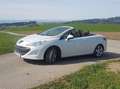 Peugeot 308 308 CC Active Pro 1,6 16V THP Active Pro Weiß - thumbnail 4