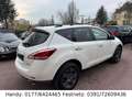 Nissan Murano 2.5 l dCi Executive Weiß - thumbnail 6