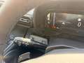 Fiat Doblo Kombi Automatik 7-Sitze PDC Kamera Noir - thumbnail 20