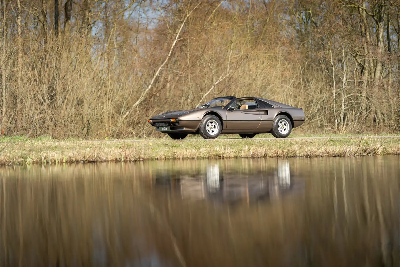 Ferrari 308 GTS Marrón - 2