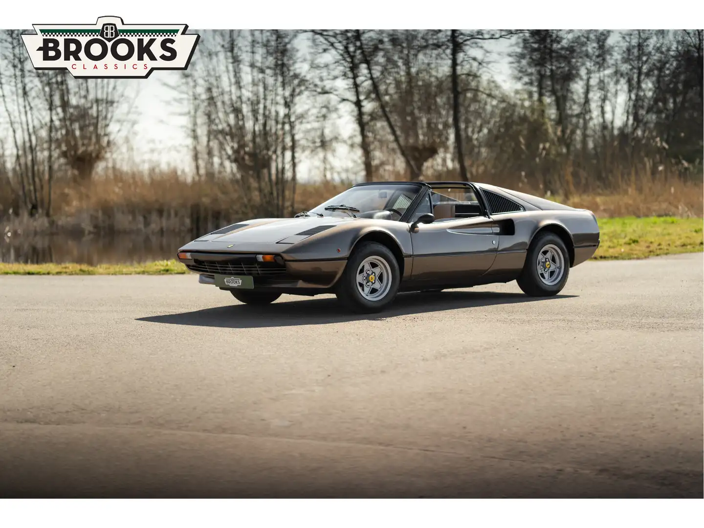 Ferrari 308 GTS Marrón - 1