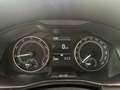 Skoda Kamiq 1.0 TSI Ambition CON PROMO PLUS Grau - thumbnail 17
