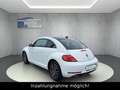 Volkswagen New Beetle Beetle Allstar BMT/1.HAND/DSG/NAVI/CAM/PDC/SHZ!! Weiß - thumbnail 8