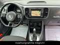 Volkswagen New Beetle Beetle Allstar BMT/1.HAND/DSG/NAVI/CAM/PDC/SHZ!! Weiß - thumbnail 10