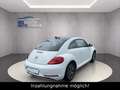 Volkswagen New Beetle Beetle Allstar BMT/1.HAND/DSG/NAVI/CAM/PDC/SHZ!! Weiß - thumbnail 6