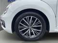 Volkswagen New Beetle Beetle Allstar BMT/1.HAND/DSG/NAVI/CAM/PDC/SHZ!! Weiß - thumbnail 20