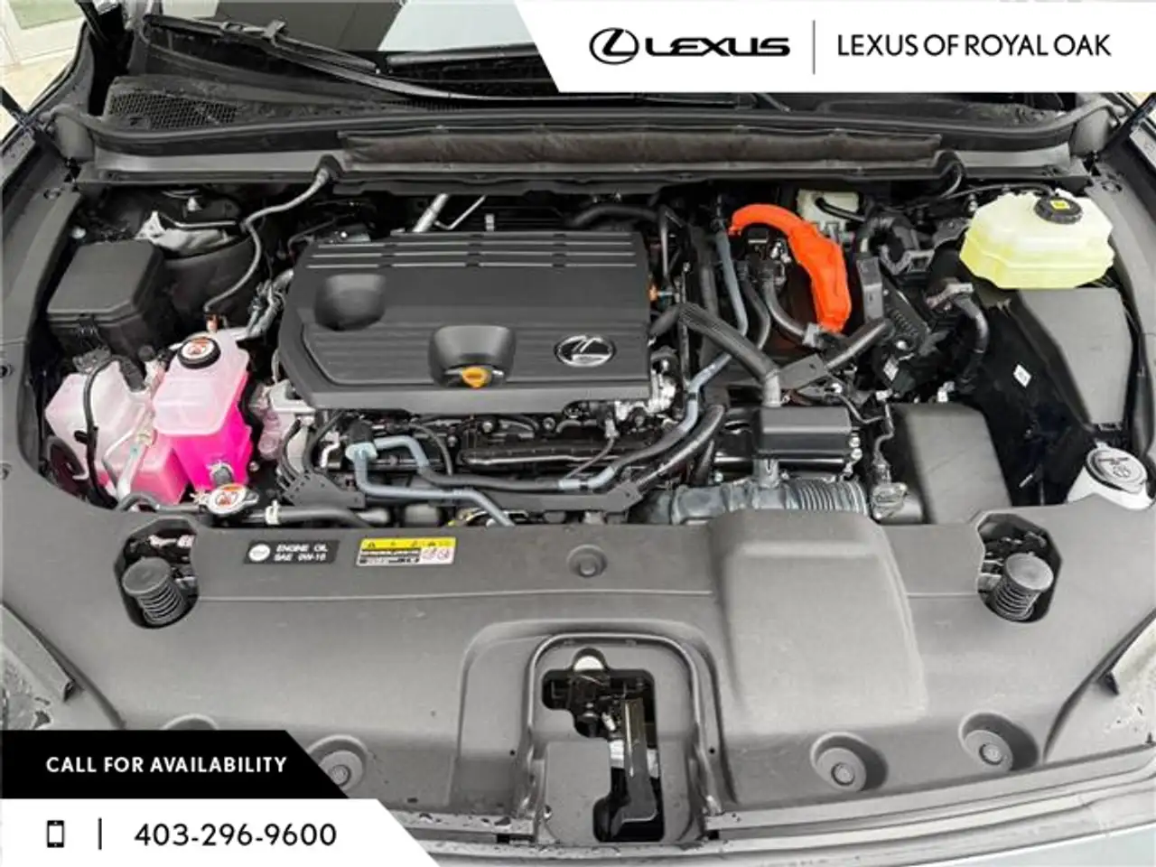 Lexus RX снимка Lexus RX