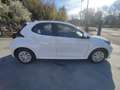 Toyota Yaris Yaris IV 1.5h Active Bianco - thumbnail 5