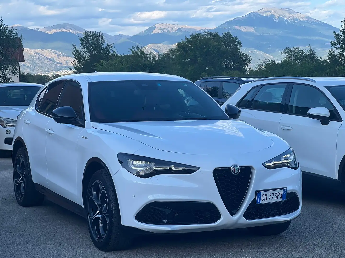 Alfa Romeo Stelvio 2.2 t Veloce Q4 210cv auto - 1