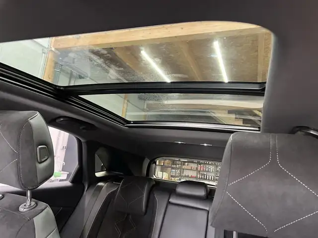 DS Automobiles DS 7 view 14