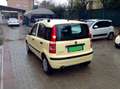 Fiat Panda Panda II 2003 1.2 Dynamic neopatentati Giallo - thumbnail 5
