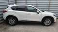 Mazda CX-5 Exclusive-Line AWD 4X4*Anhängerkupplung* Weiß - thumbnail 3