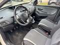 Lancia Ypsilon Ypsilon III 1.2 Elefantino ecochic Gpl 69cv my14 Blanco - thumbnail 5