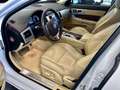 Jaguar XF XF Sportbrake 3,0 Diesel Premium Luxury Weiß - thumbnail 11