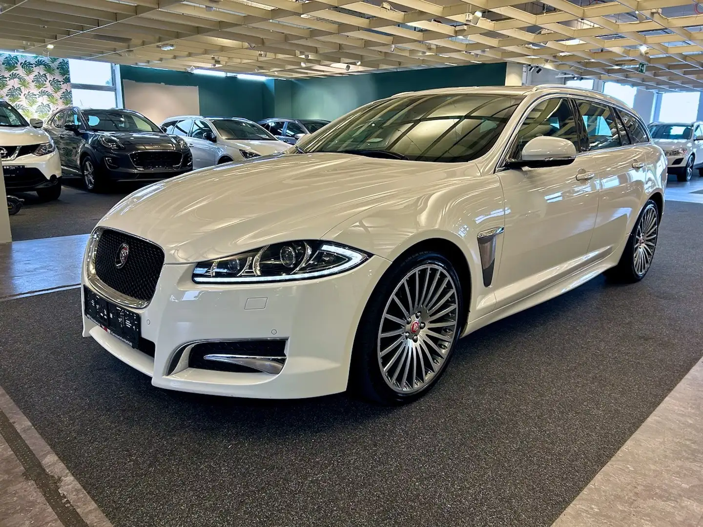Jaguar XF XF Sportbrake 3,0 Diesel Premium Luxury Weiß - 1