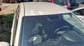 Fiat Punto Evo 1.3 Mjt 75 CV MOTORE ROTTO Wit - thumbnail 8