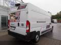 Fiat Ducato 35 140 Multijet L3H2 verblecht Blanc - thumbnail 4