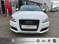 Audi A3 Cabriolet 1.8 TFSI Ambition TOP-Zustand WINSCHOTT Weiß - thumbnail 5