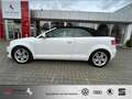 Audi A3 Cabriolet 1.8 TFSI Ambition TOP-Zustand WINSCHOTT Weiß - thumbnail 6