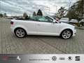 Audi A3 Cabriolet 1.8 TFSI Ambition TOP-Zustand WINSCHOTT Weiß - thumbnail 9
