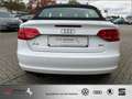 Audi A3 Cabriolet 1.8 TFSI Ambition TOP-Zustand WINSCHOTT Weiß - thumbnail 12