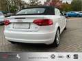 Audi A3 Cabriolet 1.8 TFSI Ambition TOP-Zustand WINSCHOTT Weiß - thumbnail 11