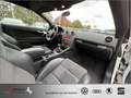 Audi A3 Cabriolet 1.8 TFSI Ambition TOP-Zustand WINSCHOTT Weiß - thumbnail 17