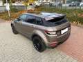 Rover Rover Bej - thumbnail 7