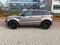 Rover Rover Beige - thumbnail 5